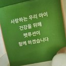 펫루션 | 강아지유산균과 고양이유산균에 펫루션 메타 바이오틱스