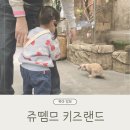 쥬뗌므 키즈랜드 시흥 아기랑 갈만한 곳 실내 동물원 솔직 후기