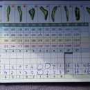 서진골프연습장 이미지