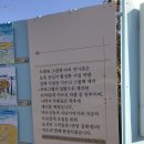 충남가볼만한곳 면천읍성 에 언택트관광 다녀왔어여