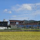 버스터미널 이미지