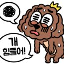 논산더집 네이버블로그