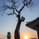 신륵사 - 여주군 | 신륵사