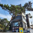 제주항 | 부산송정맛집추천 제주항통갈치 순살 갈치조림 후기