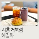 [시흥] 카페 해밀화....뷰가 멋져요 이미지