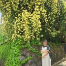 락휴코인노래연습장 동성로2호점 이미지