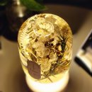 쟈뎅드마망 이미지