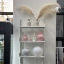 베쥬플라워