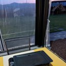 추억만 남개 이미지