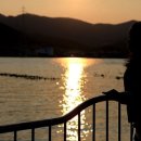 솔향기은빛바다펜션 이미지