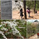 숲속으로 이미지