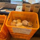 노아(Noah) 이미지