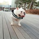히릿