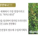 퀸즈헤나전문샾