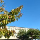 근로복지공단 대구병원 | [후기]방문하고왔어요 #근로복지공단_대구병원