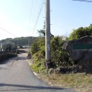 정월오름 Daum카페