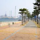 형산강자전거길 이미지