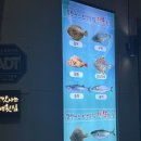 JS현서빌딩 이미지