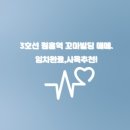 꼬마빌딩전문공인중개사사무소 이미지