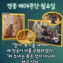 2026-07-06연중 제14주간 월요일＜제 딸이 방금 죽었습니다. 그러나 가셔서 손을 얹으시면 살아날 것입니다.＞ 이미지