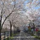 북한강철교 쉼터 이미지