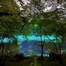 물빛-울림 이미지