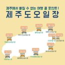 늘좋은하루민박 이미지