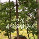 다락금솔밭공원 이미지