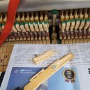 동아파크 이미지