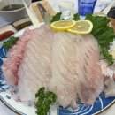 돌고래횟집 | [강릉] 경포호 근처 횟집 추천 돌고래횟집 모둠회 2인 후기