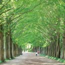 담양여행 이미지