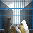 아라동물병원 이미지