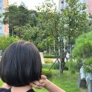 수교미용실