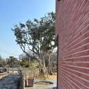 동백낭아래 키즈 독채 펜션 이미지