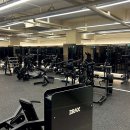 피트리움 이미지