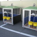 대전축산 이미지