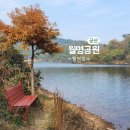 군산청소년수련관 | 군산 산책로 추천 '월명공원' 가볼만한 곳(feat.월명호수)