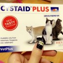 포근한동물병원 이미지