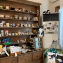 일상다실