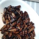 제천약초시장 이미지