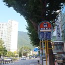 금정-8 | [부산] 금정마을-어린이대공원 산행후기---2025년 8월 19일(화)