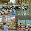 (주)소프트에이드 | 경기도 가평 베고니아새정원(할인, 주차, 동물 먹이주기, 포토존) 방문후기
