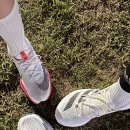 더케이핏 이미지