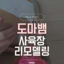 마리크레에서 우리집 도마뱀의 사육장 리모델링♡ 올인원 은신처+급수기+탈피보드 후기”