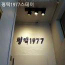 스테이1977