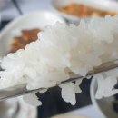 정다함 이미지