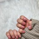 에브리독애견미용학원