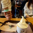 경양카츠세종정부
