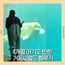 씨월드 | 거제씨월드 아기랑 다녀온 후기 | 4개월 아기·초등학생 모두 가능