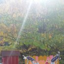 범산목장 이미지